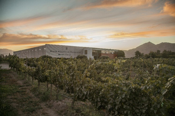 Escudo Rojo vin Chilien Vallée de Maipo