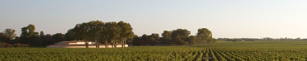 LES VINS DE CHÂTEAUX